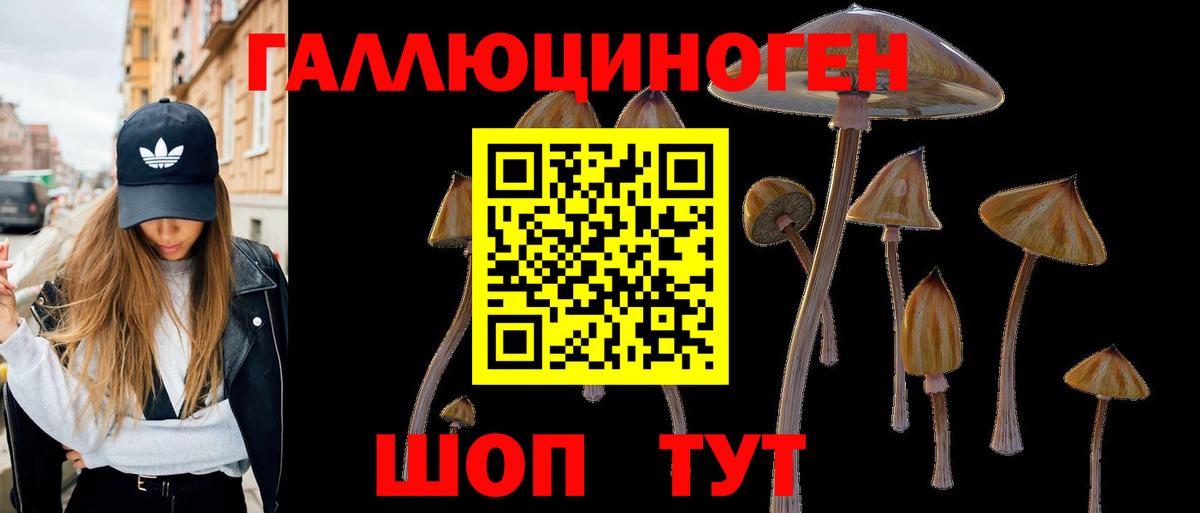 Шали  Галлюциногенные грибы ЛСД  Галлюциногенные грибы Psilocybe  Вход с VPN 